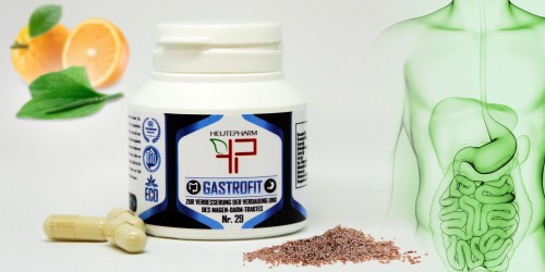 GASTROFIT Для желудка и кишечника, 60 капс