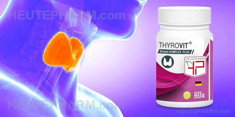 THYROVIT - Unterstützt die Funktion der Schilddrüse